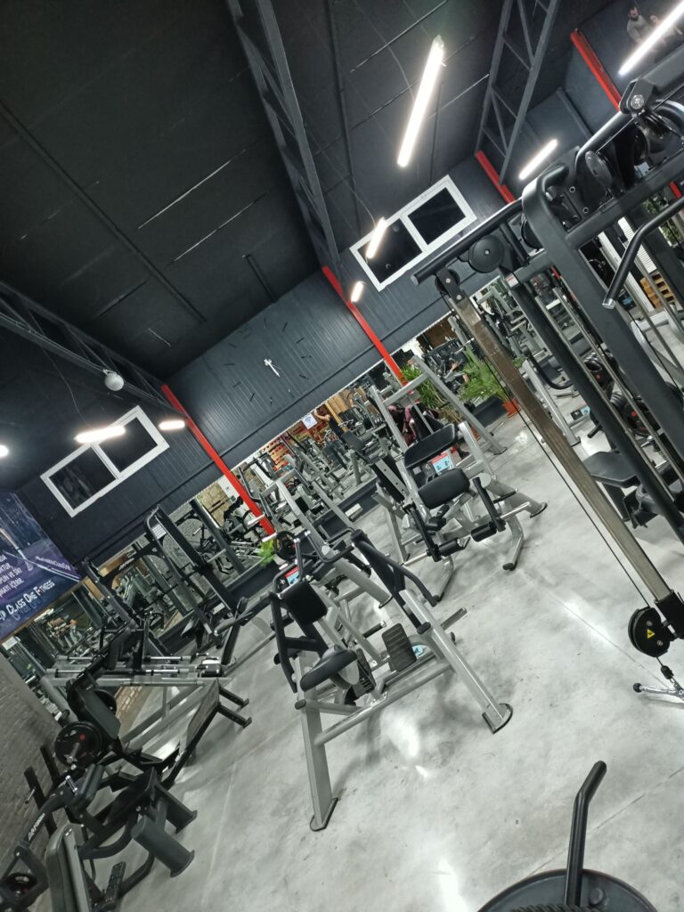 Gallery image