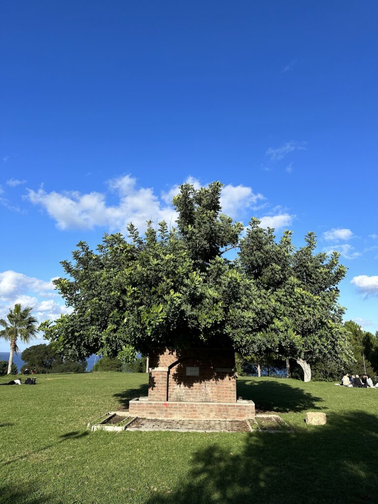 Gallery image