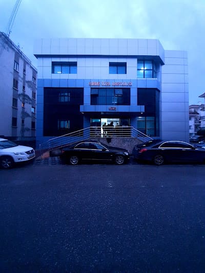 Gallery image